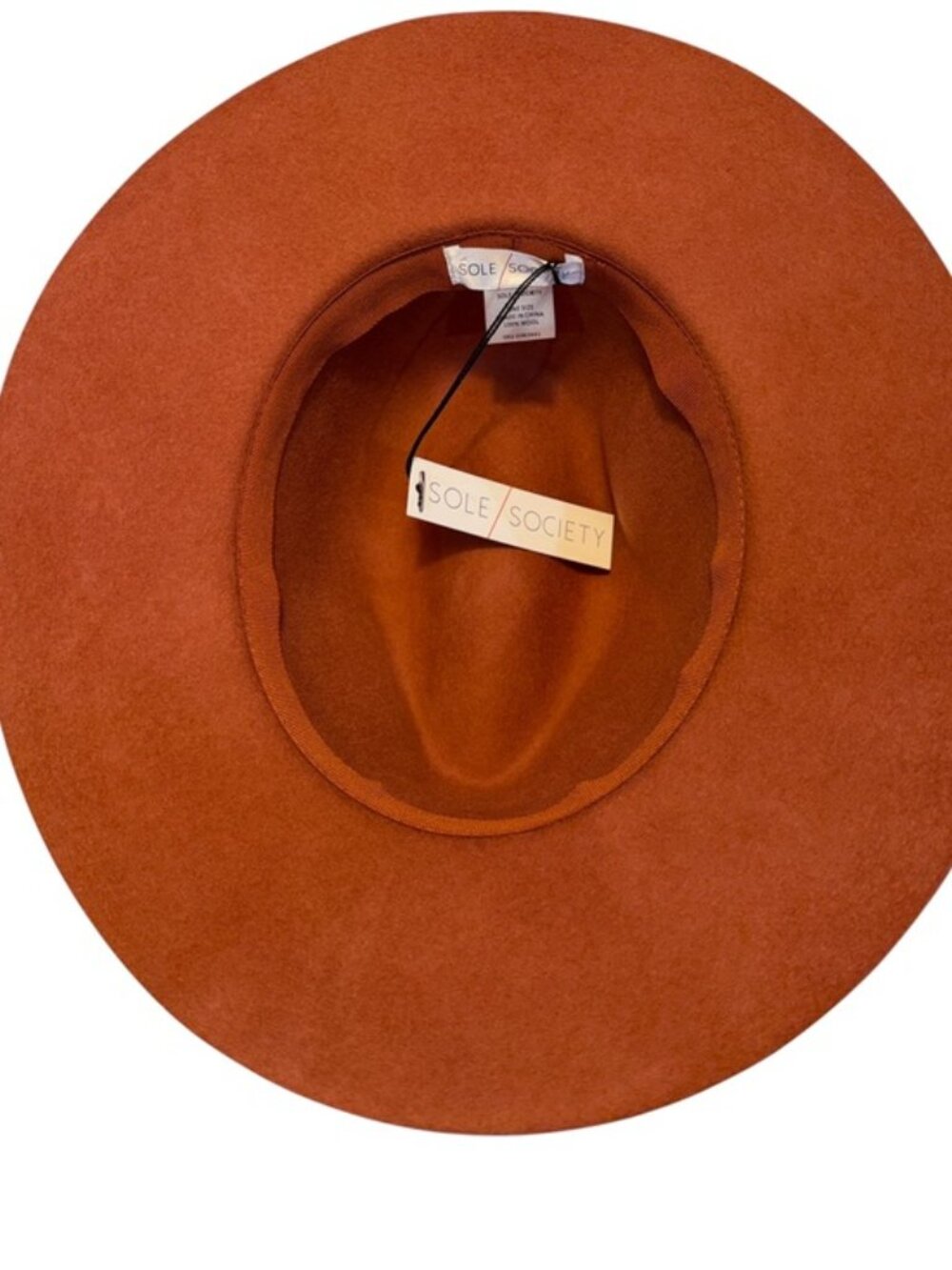 Sole Society 100% Wool Rancher Hat Terracotta Wide Brim Western Boho NWT - Picture 9 of 11